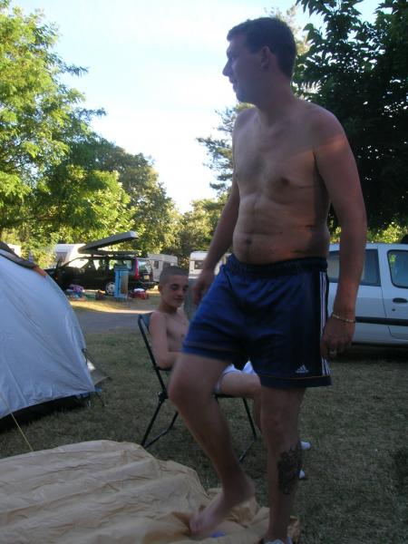 david